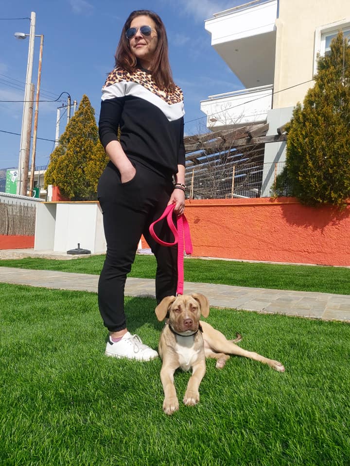 dogwhisperer.gr