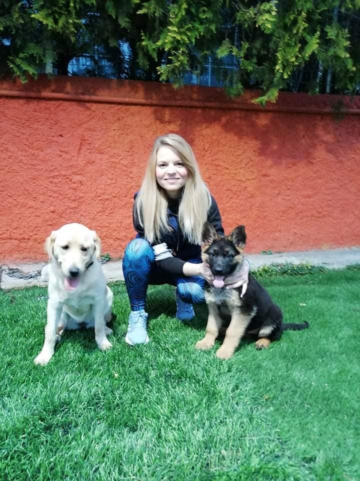 dogwhisperer.gr