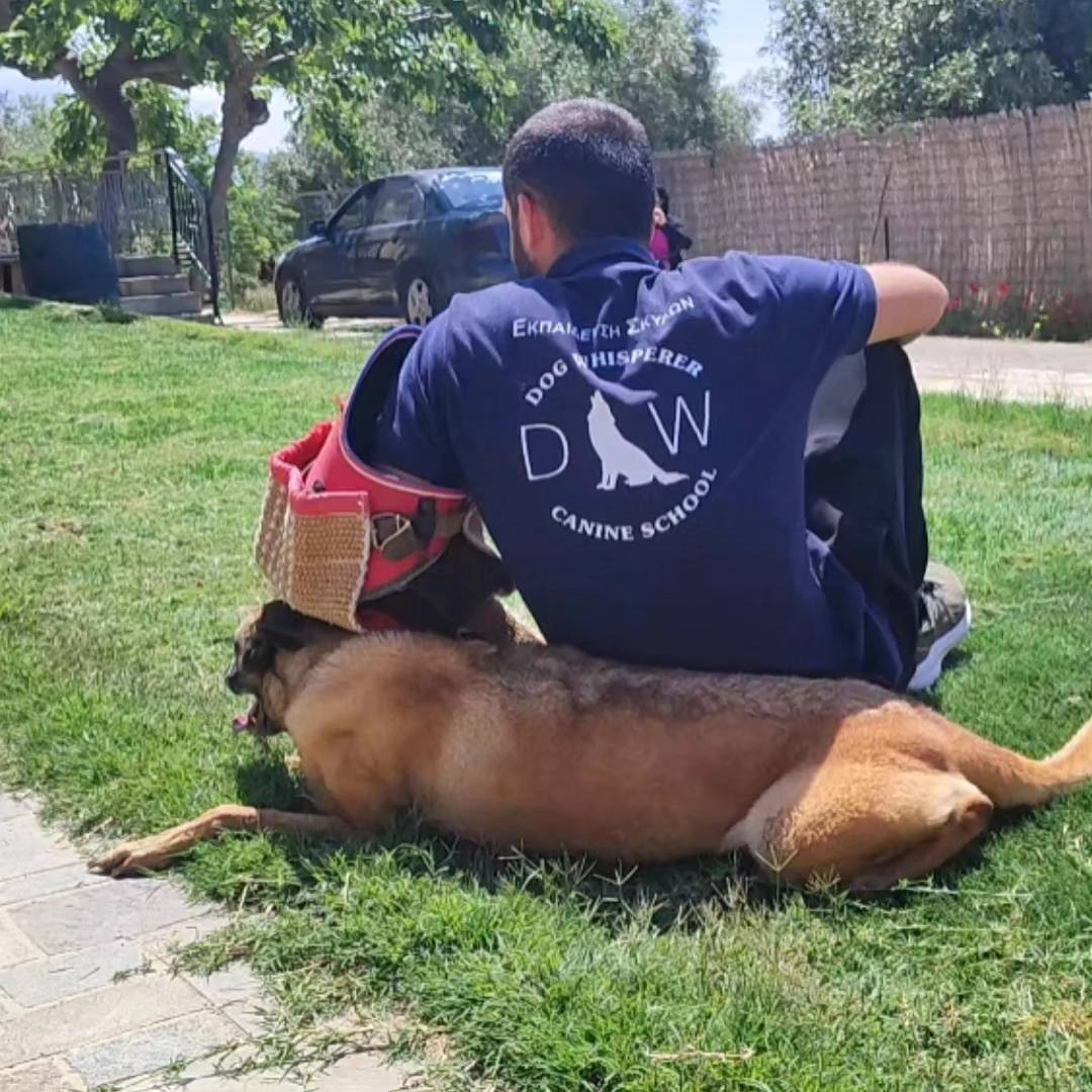 dogwhisperer.gr