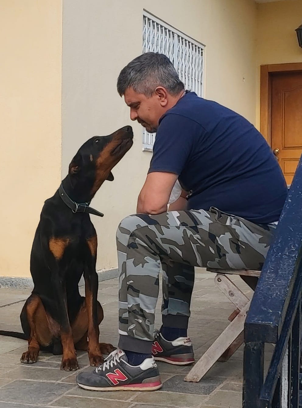 dogwhisperer.gr