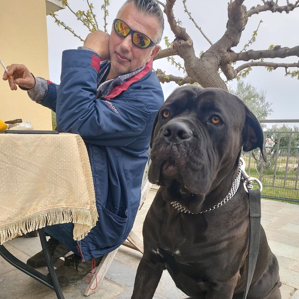 dogwhisperer.gr