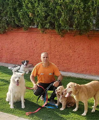 dogwhisperer.gr