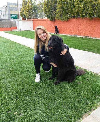 dogwhisperer.gr